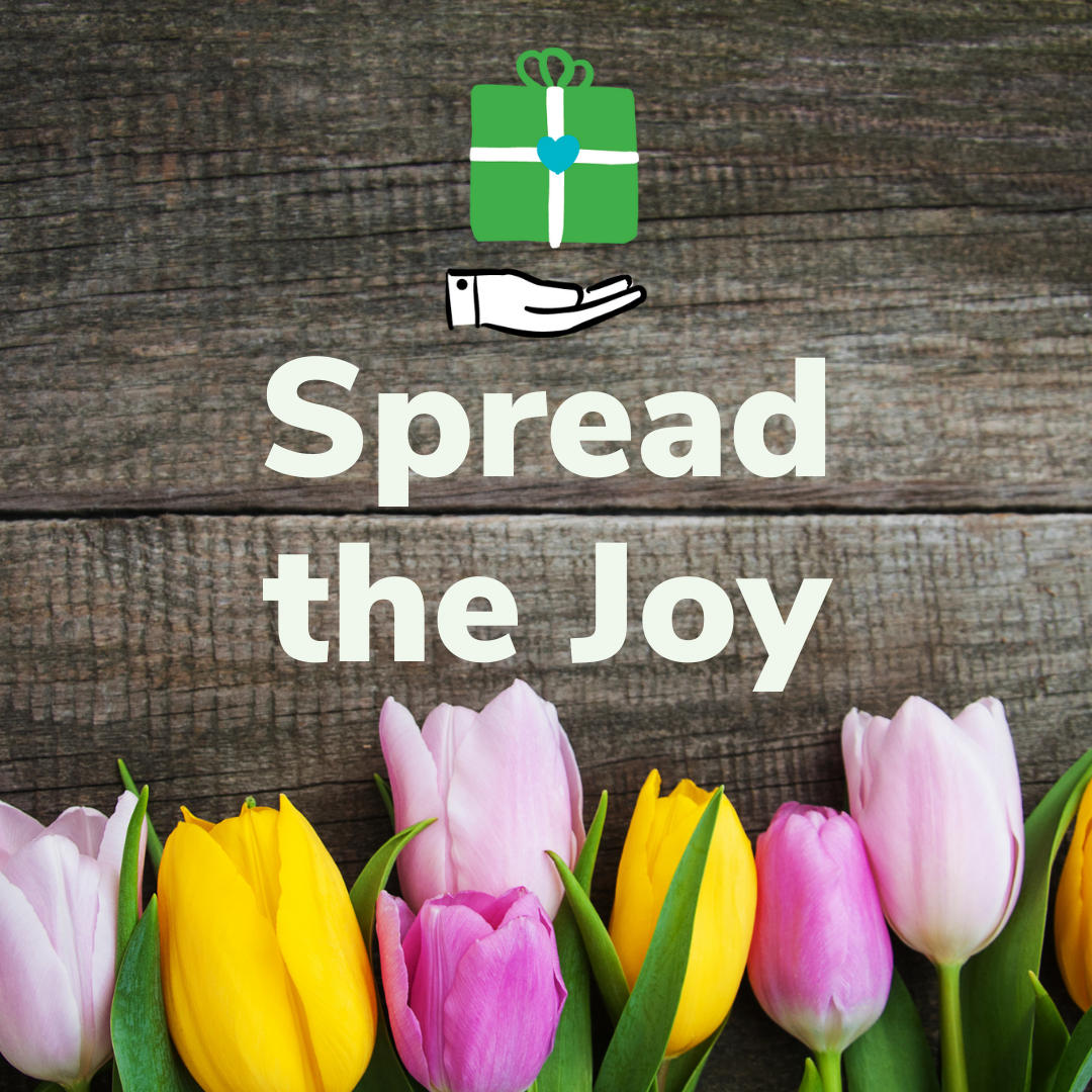 Purple, yellow and pink tulips laying ontop of wood underneatch the spread the joy logo