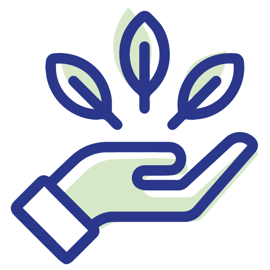 simple graphic showing 3 leafs floating above an open hand