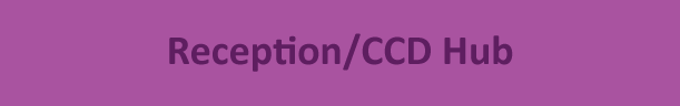 Purple rectangle with darker purple text that reads 'Reception/CCD Hub'