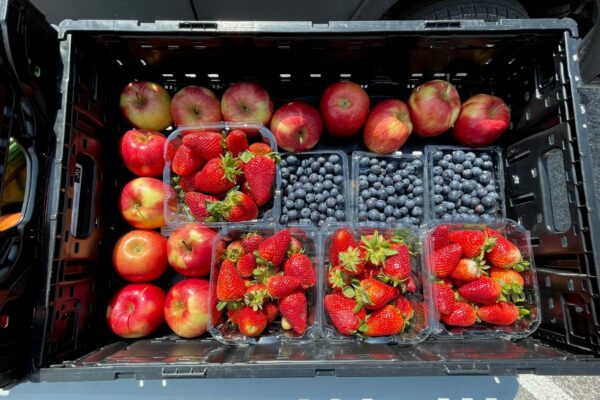 photograph looking down on fresh apples, strawberries and blue berries held in a black basket
