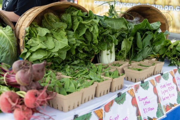 Fresh mixed greens, romaine lettuce and green peas on display at the Mobile Food Market
